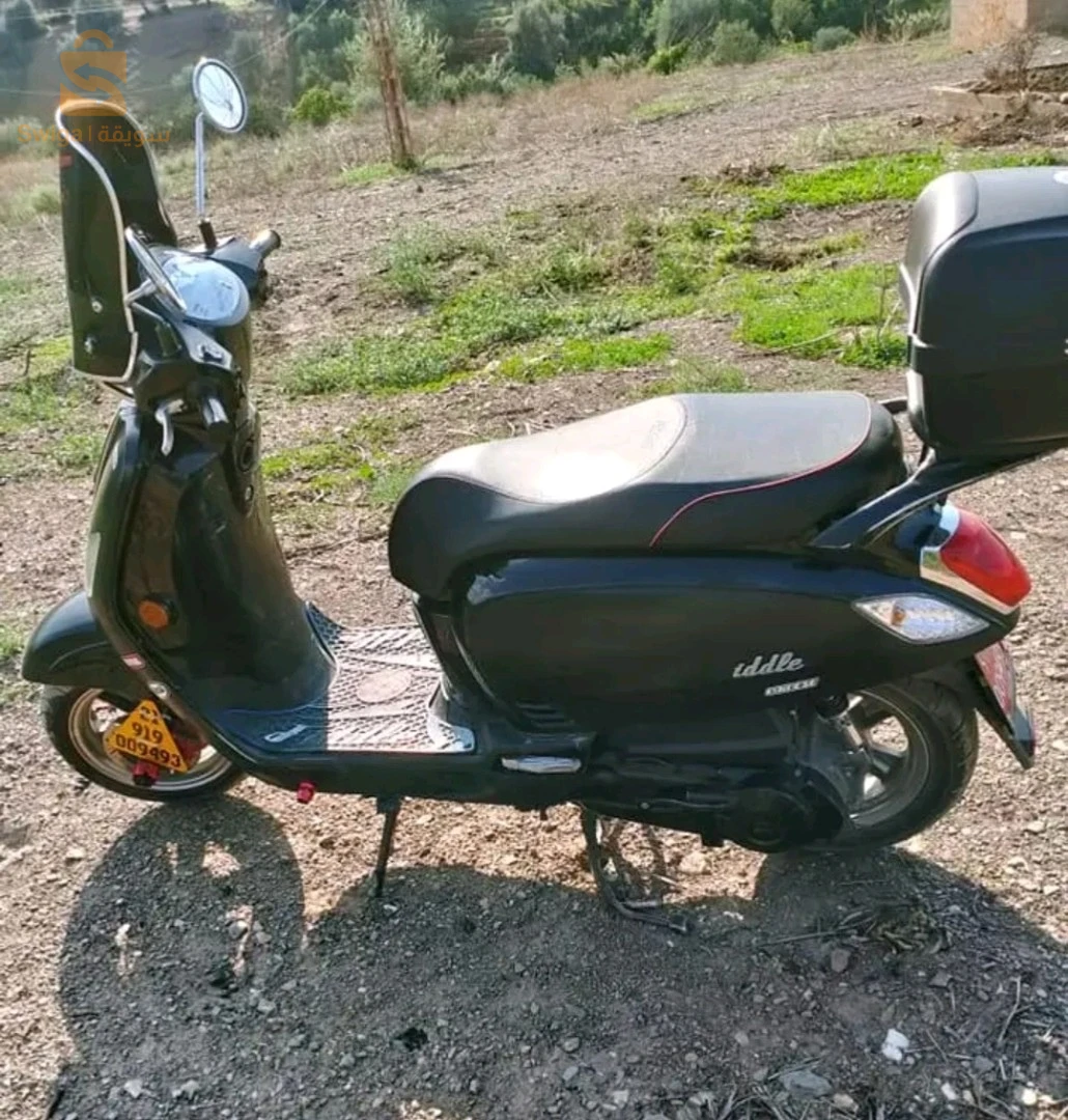 فيدال3
2019