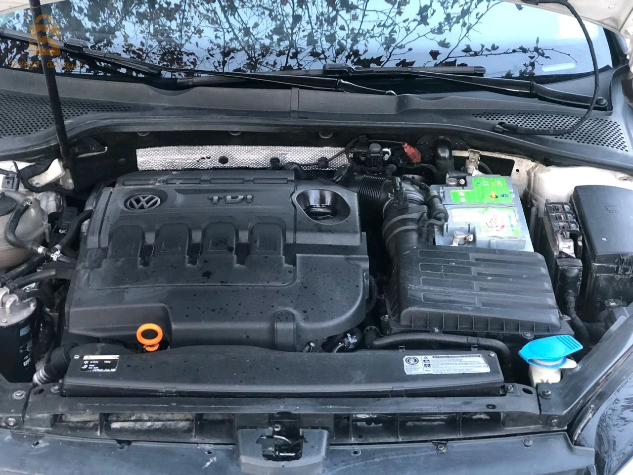 golf 7 hailine 2l 110 ch نظيفة ماشاء الله فيه بارشوك و 2 راكور على نضافة صغار فيها موتور محطوط ربي بارك ،ميكانيك سيسبونصيو 10\10 كل مارش راهي في ميلة سنطر