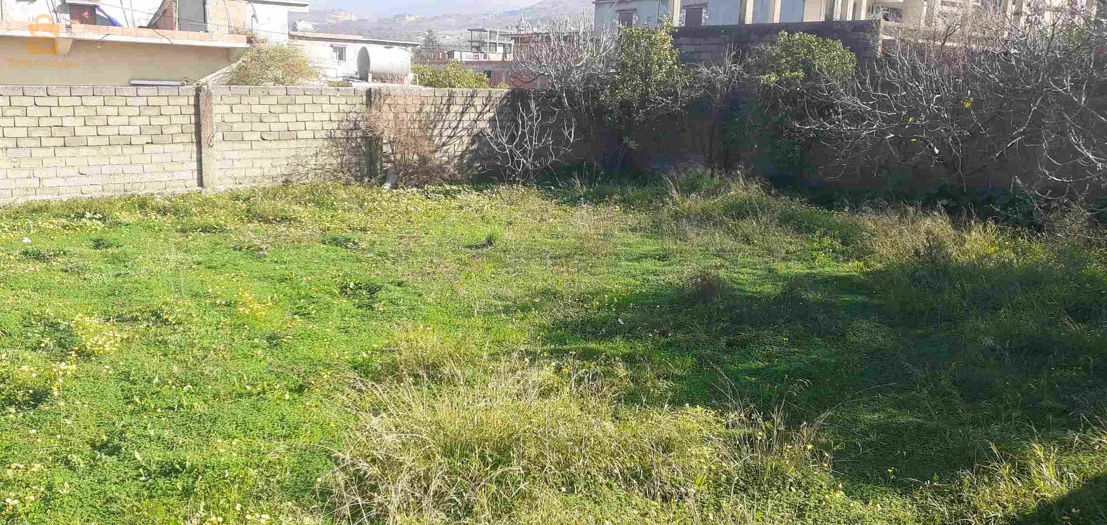 حساينية بلدية بوعنان