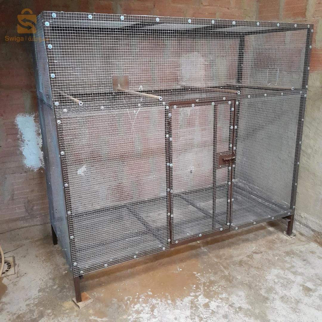 كاجة جديدة تاع مقنين كناري كالوبسيت0662729762