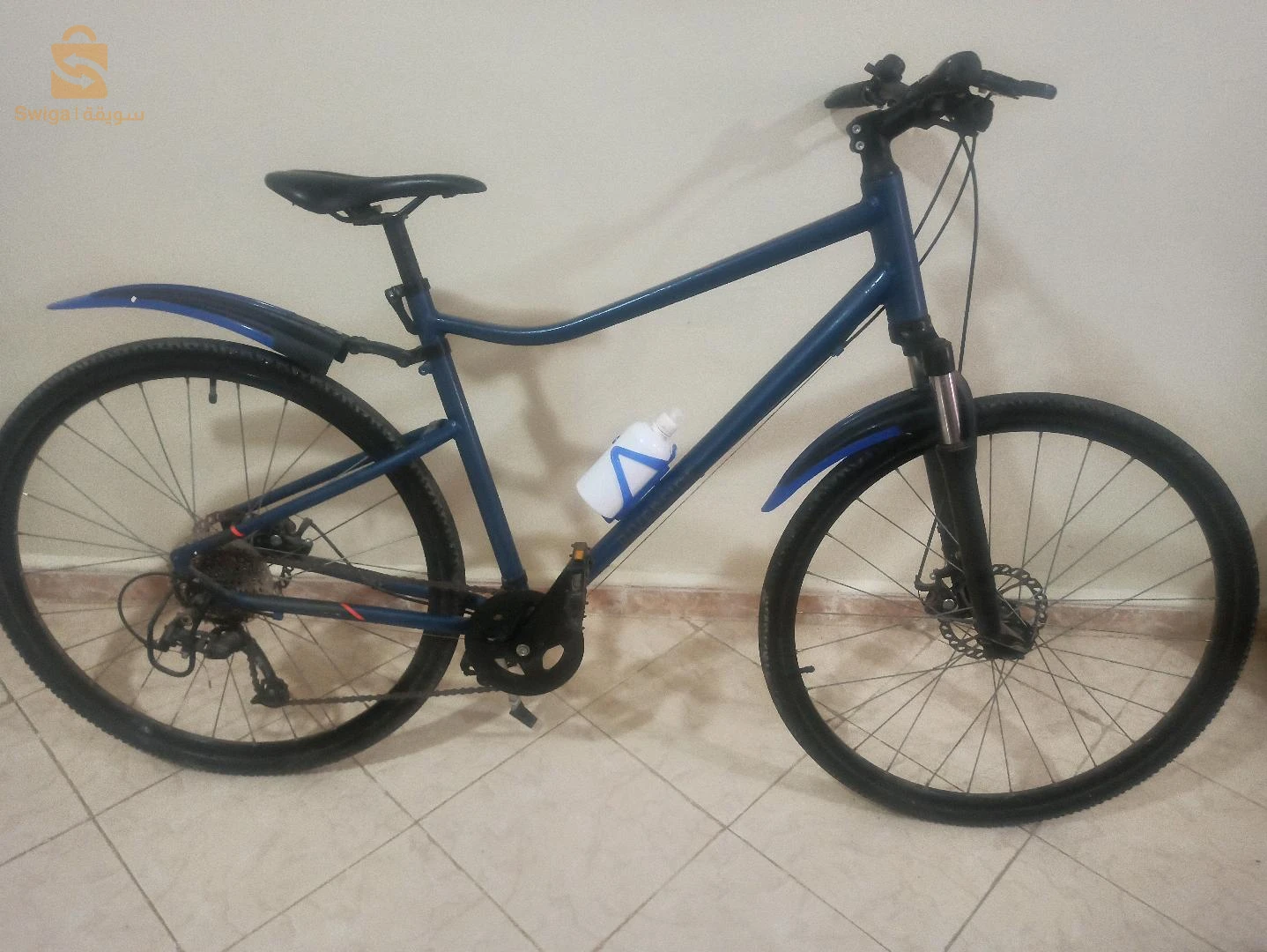 سيدي علي مستغانم