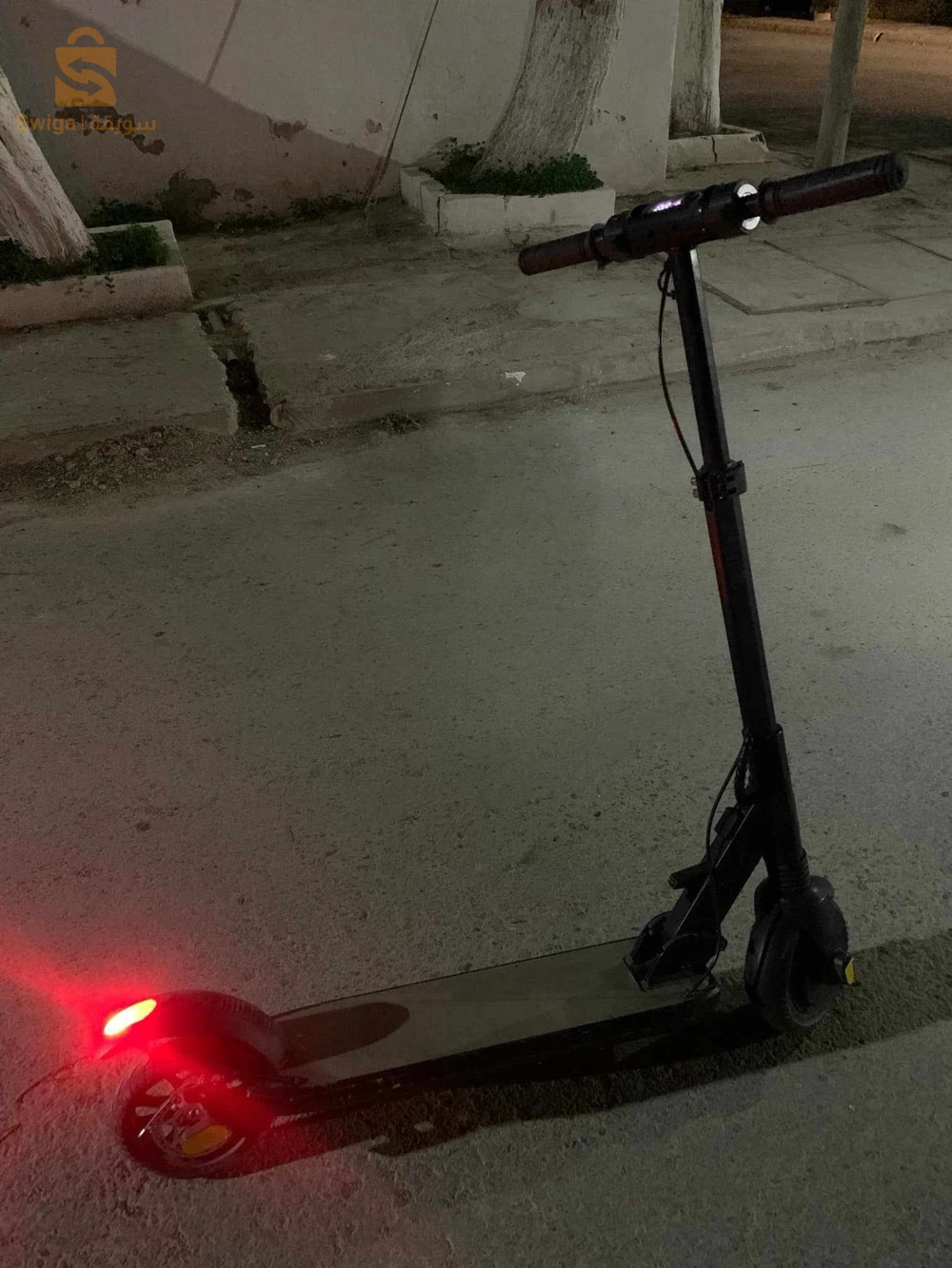 scoter