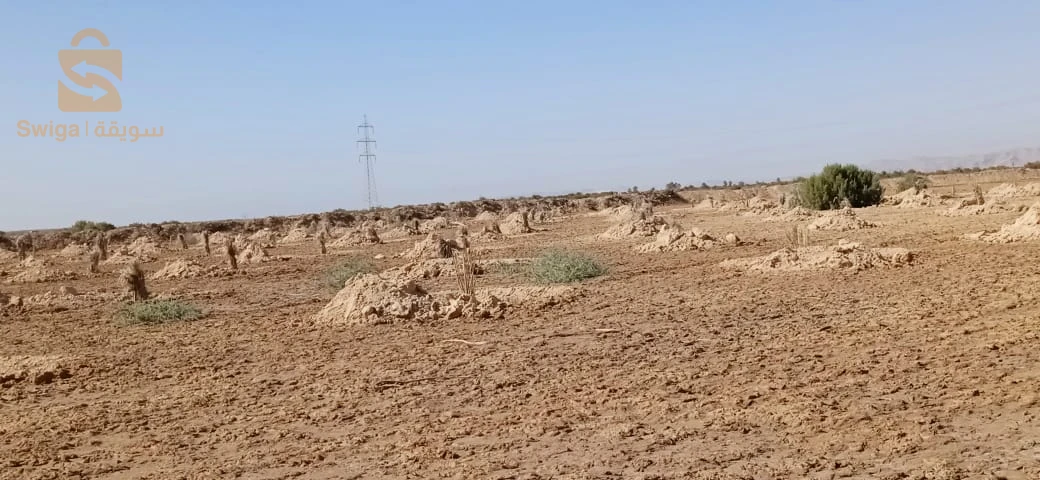 قطعة ارض فلاحية للبيع
