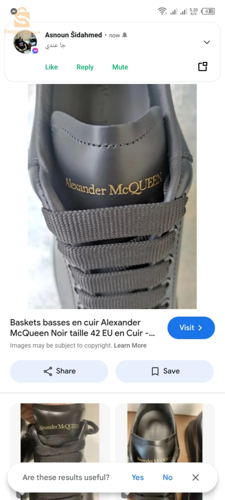 Alexander McQueen