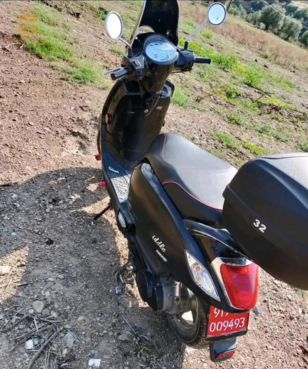 فيدال3
2019