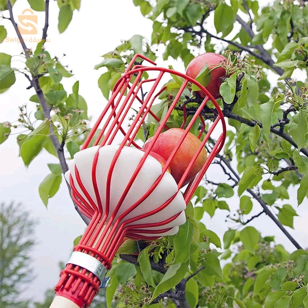 🍎 عصا قطف الفواكه - الطول 2 متر 🍐
