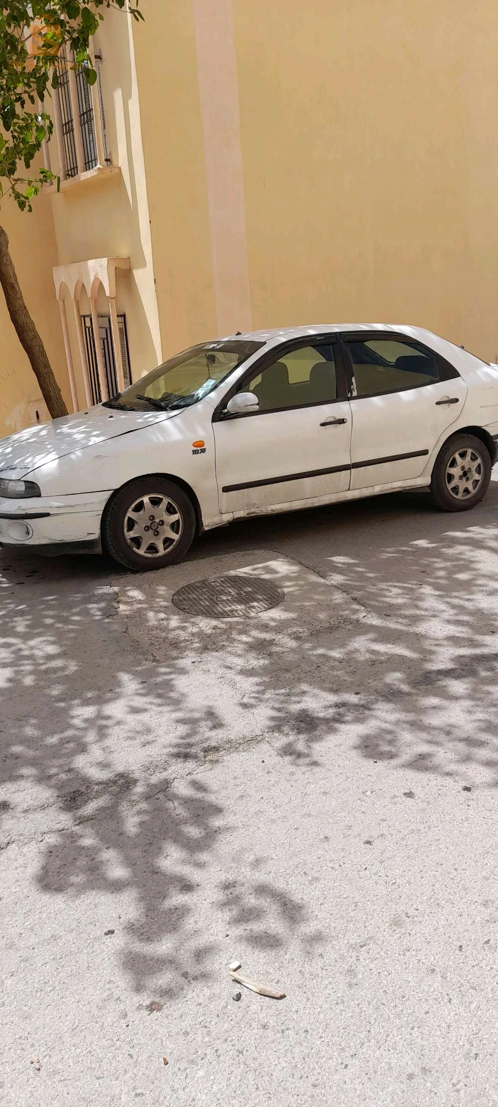 سطيف