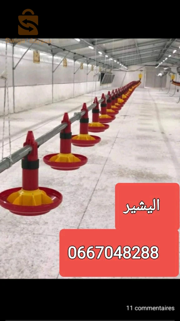 بيع عتاد الدواجن