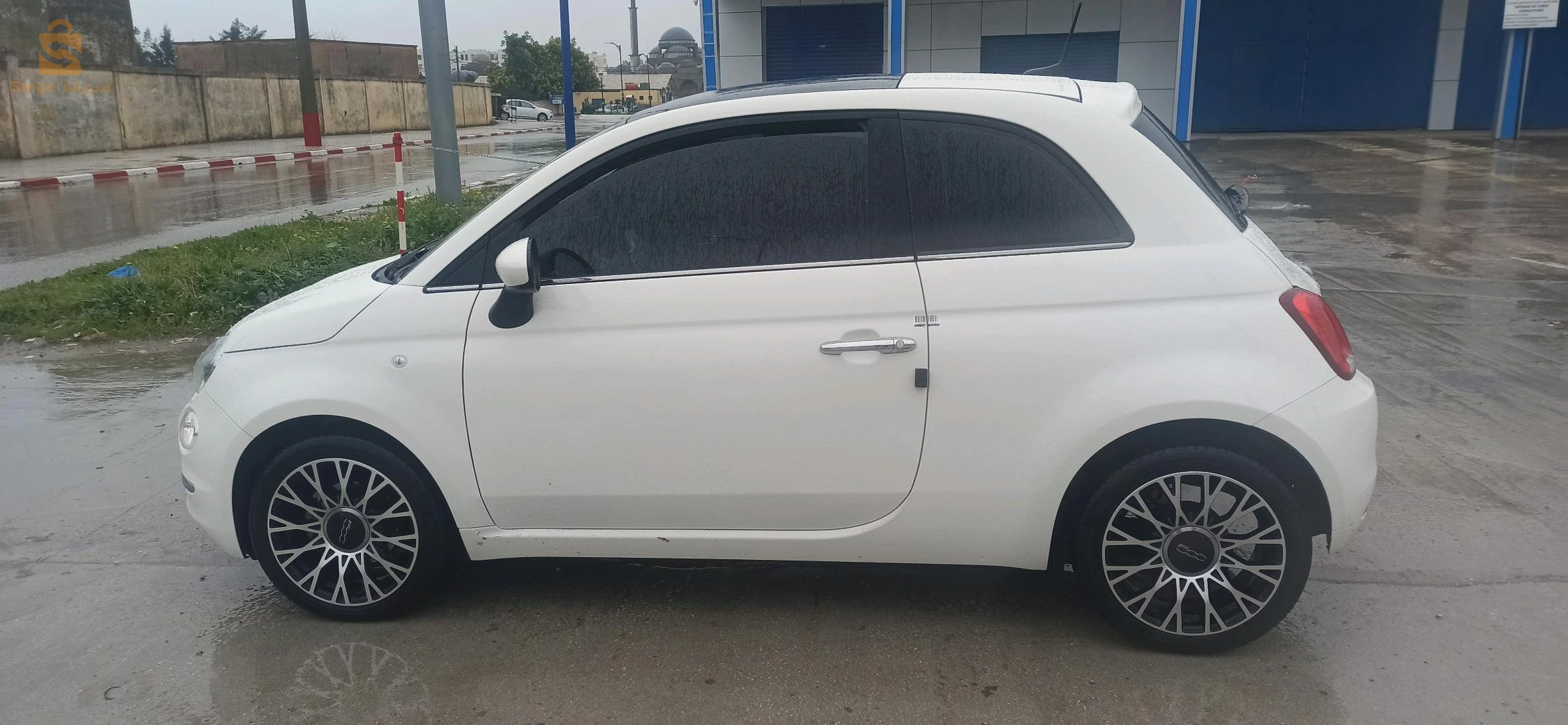 فيات 500 2023 36 الطارف