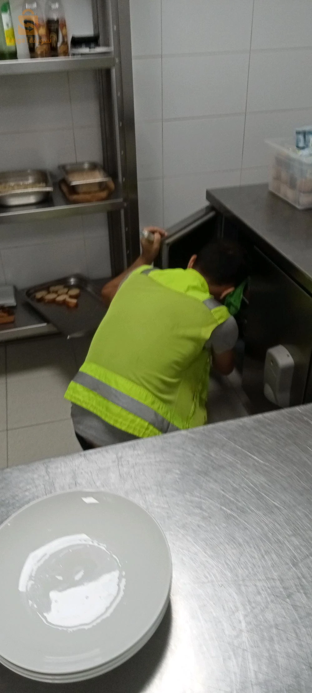 entreprise spécialisée dans les traitements anti nuisibles