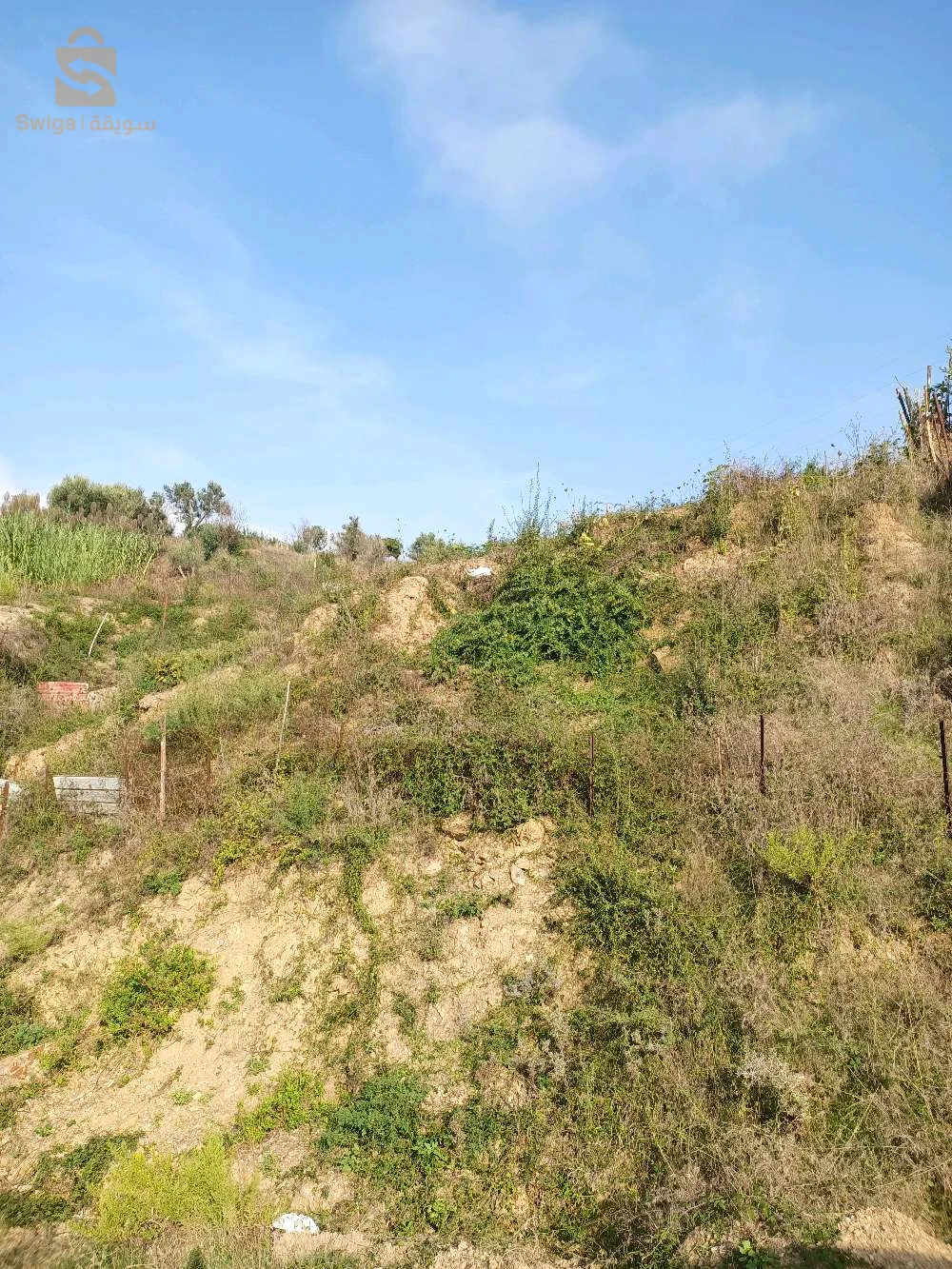 terrain à vendre 3 façades