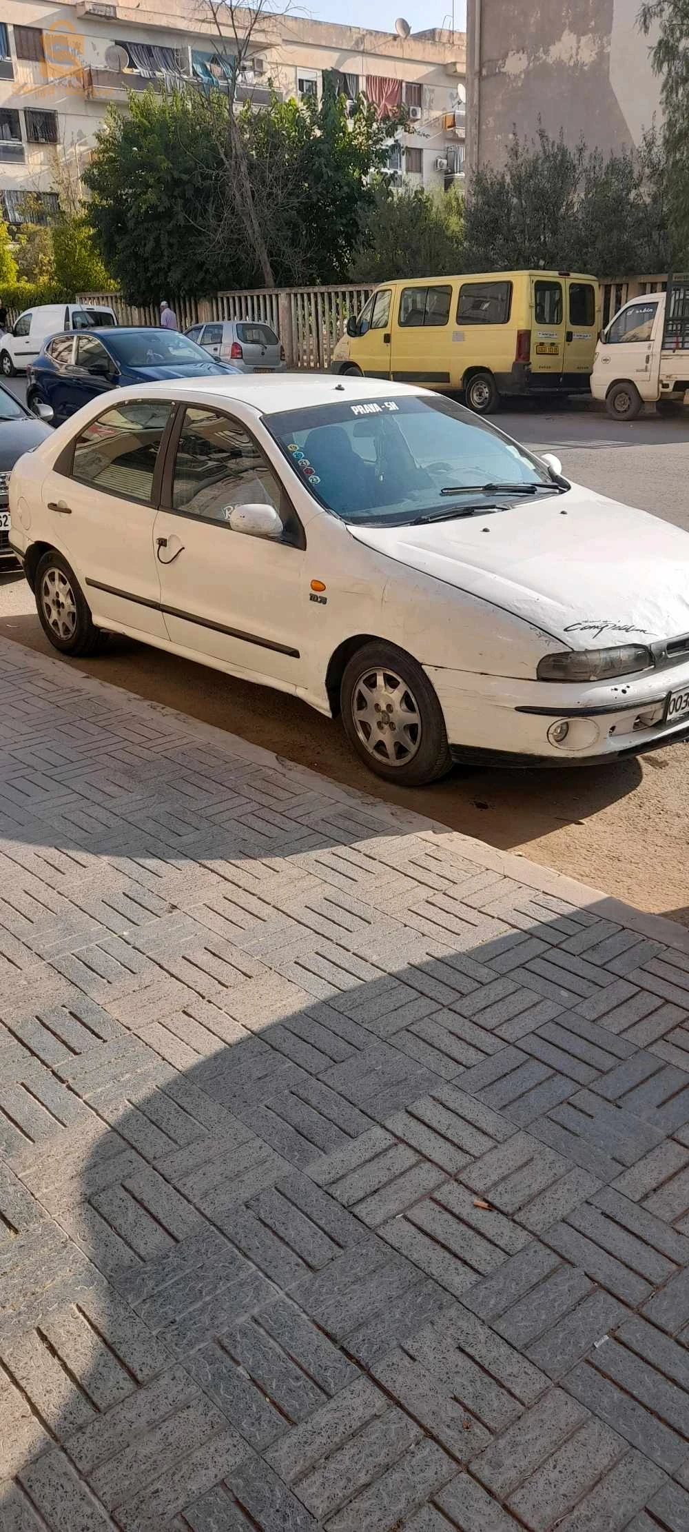 سطيف