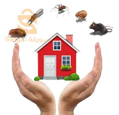 entreprise anti nuisibles oran