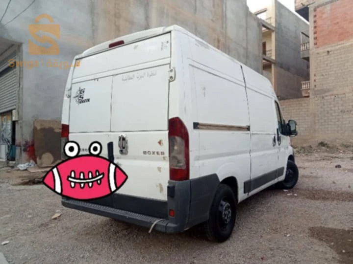 بيجو Boxer 2008 19 سطيف