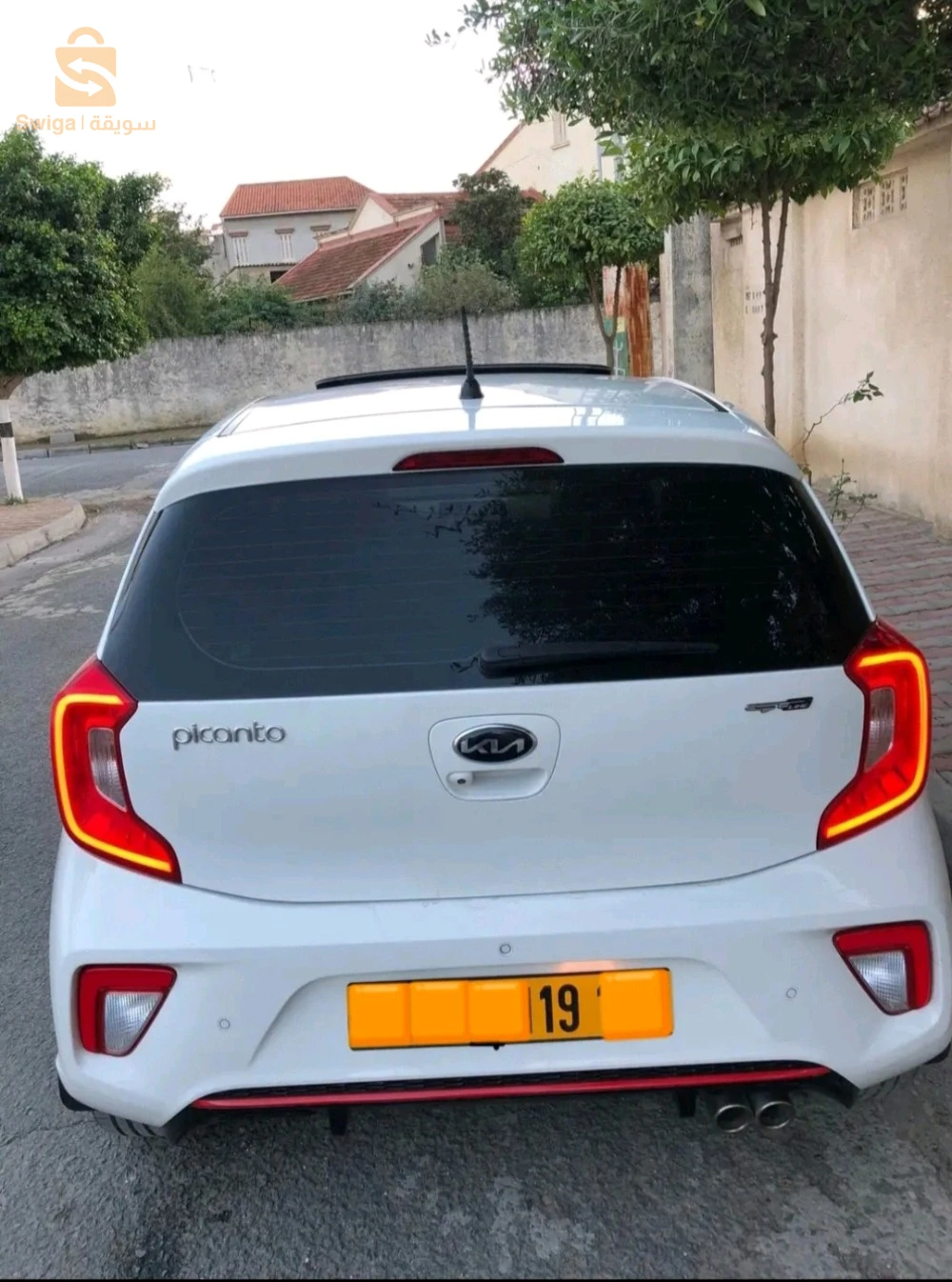 كيا Picanto 2019 15 تيزيوزو