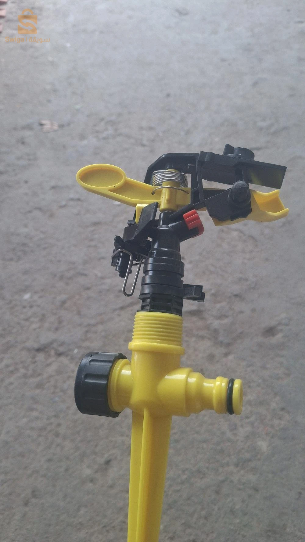 belhadriramadan1@gmail.com