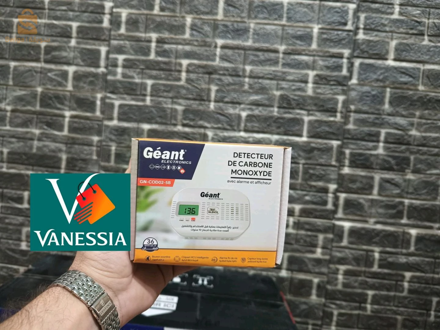 chauffage central marque géant