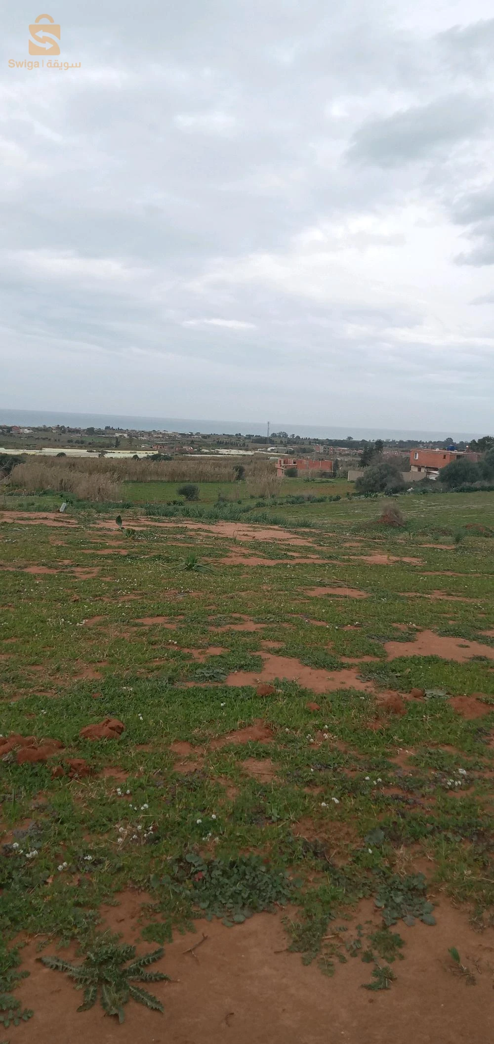 السلام عليكم بيع قطع اراضي صالحة للبناء بولاية بومرداس منطقة بن يونس او حاج أحمد شكرا