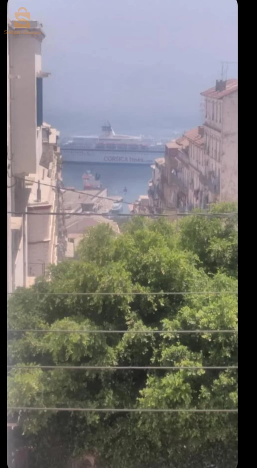 دبيح شريف ..باب جديد