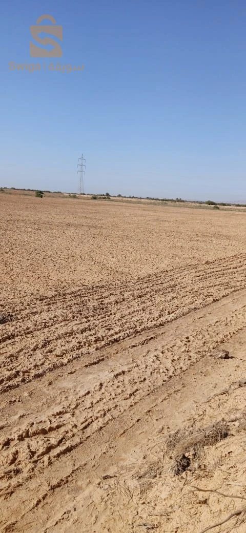 قطعة ارض فلاحية للبيع