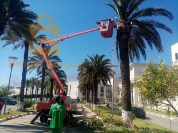 service de jardinage