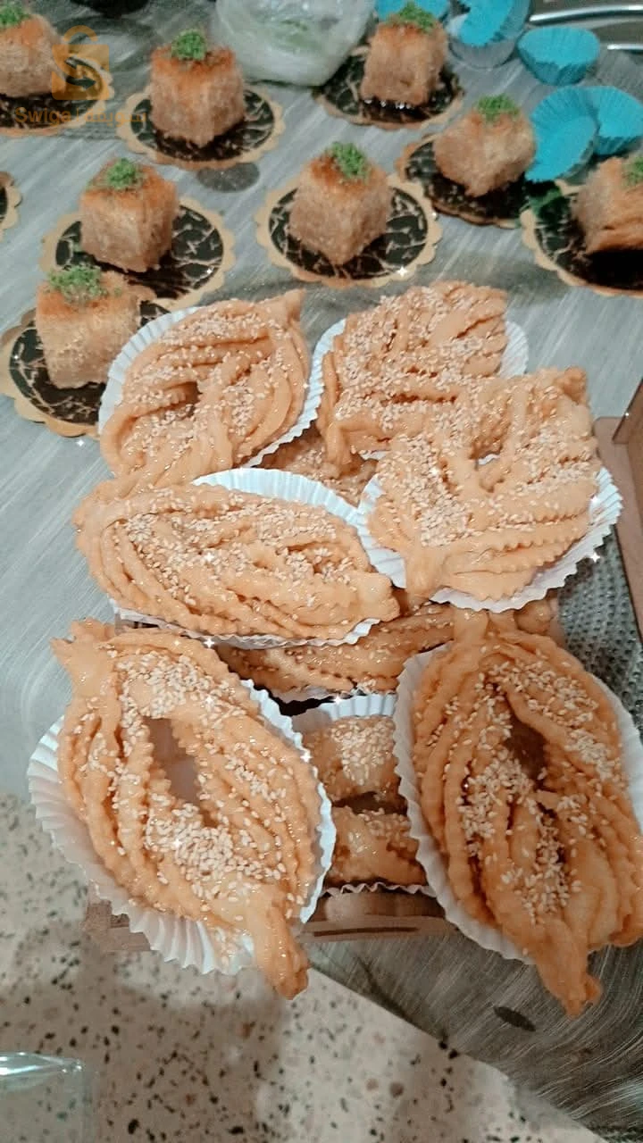 الجلفة الجديدة