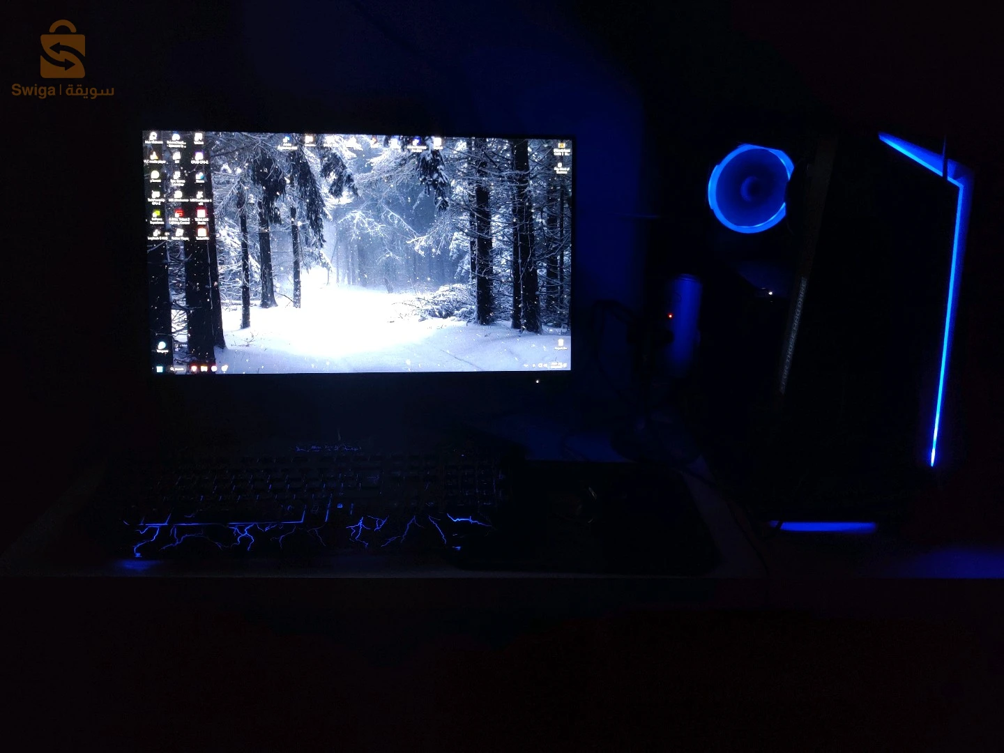 PC gamer