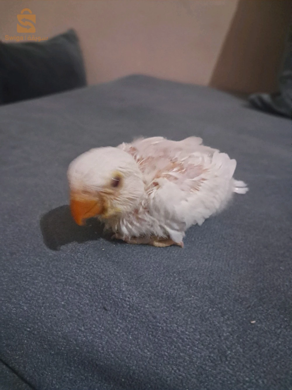 للتكيل اليدوي