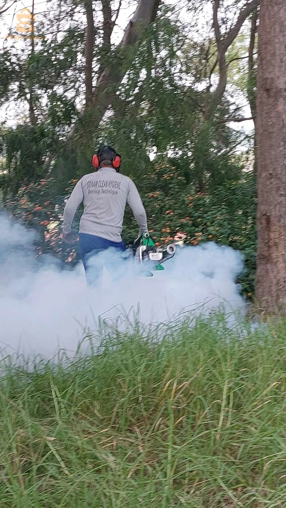 entreprise spécialisée dans les traitements anti nuisibles