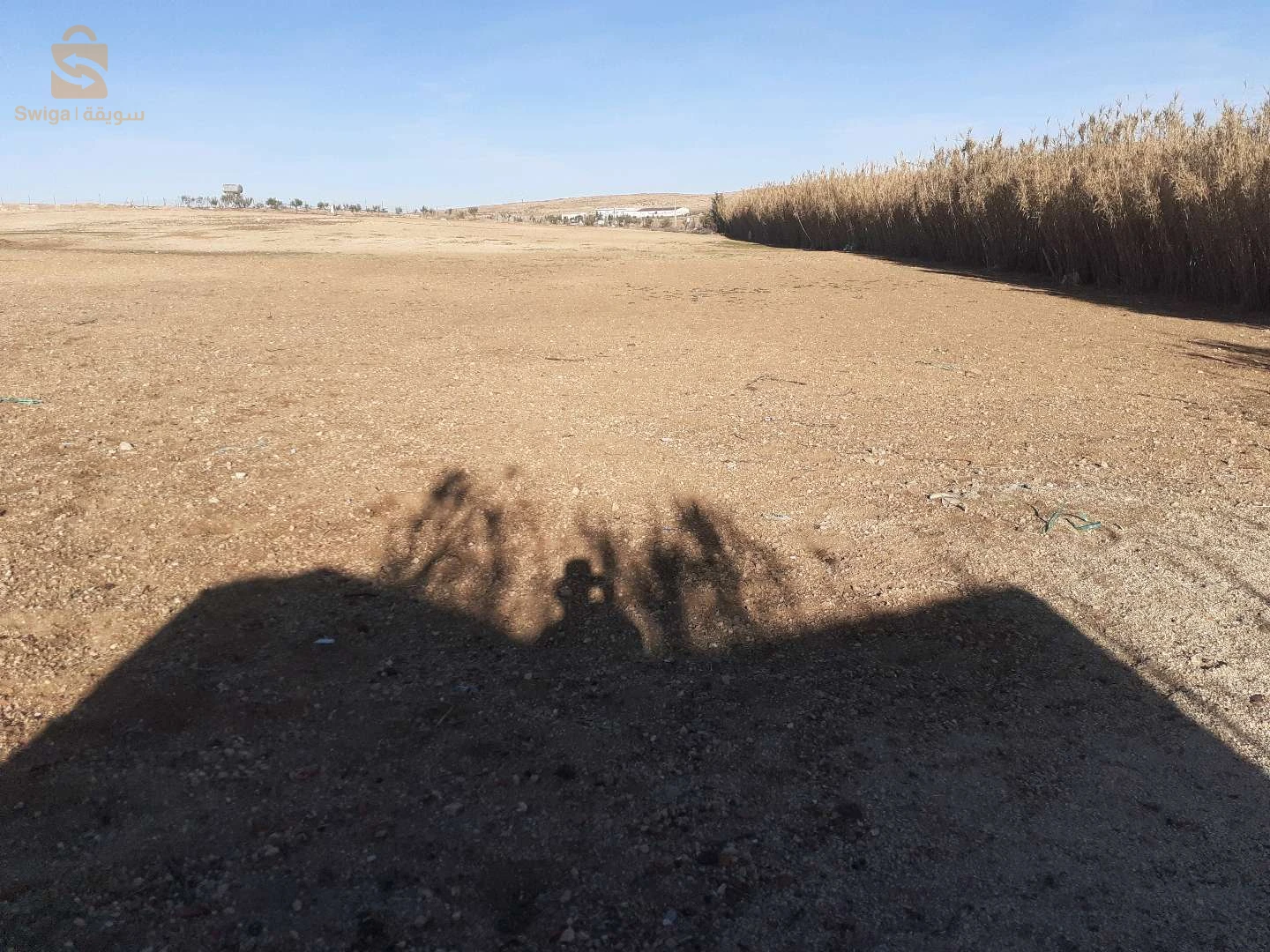 مزرعة للبيع فيرنا