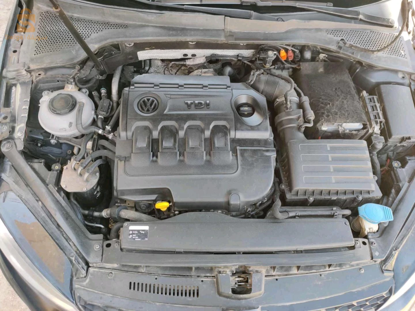 فولكس واجن Golf 2015 7 بسكرة