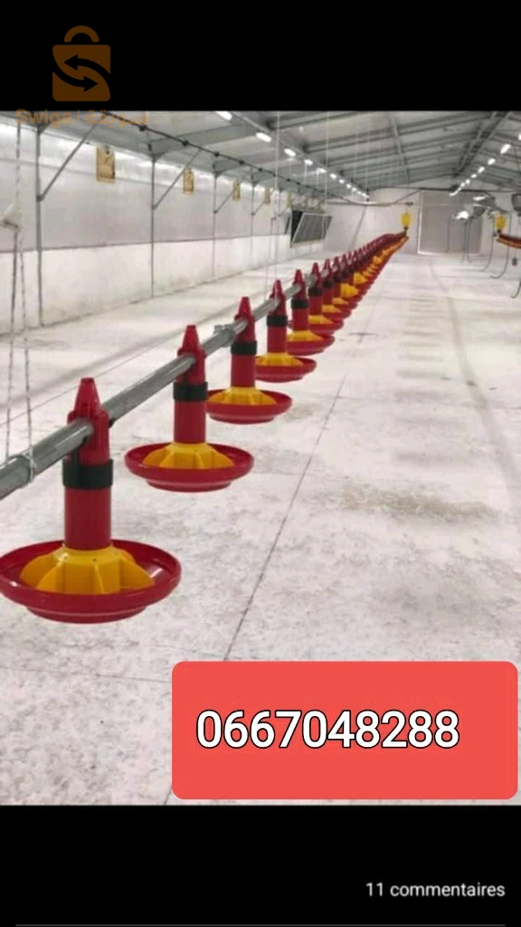 بيع عتاد الدواجن