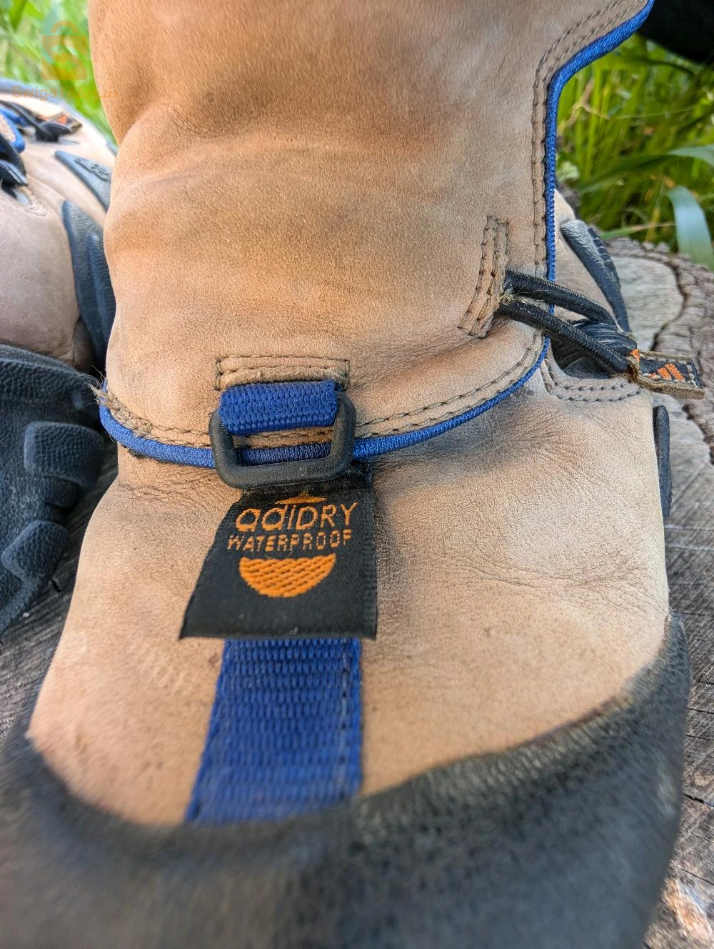 سلعة انجليزية حرة - Camping Adidas radlander EQT pantone IE6124-
