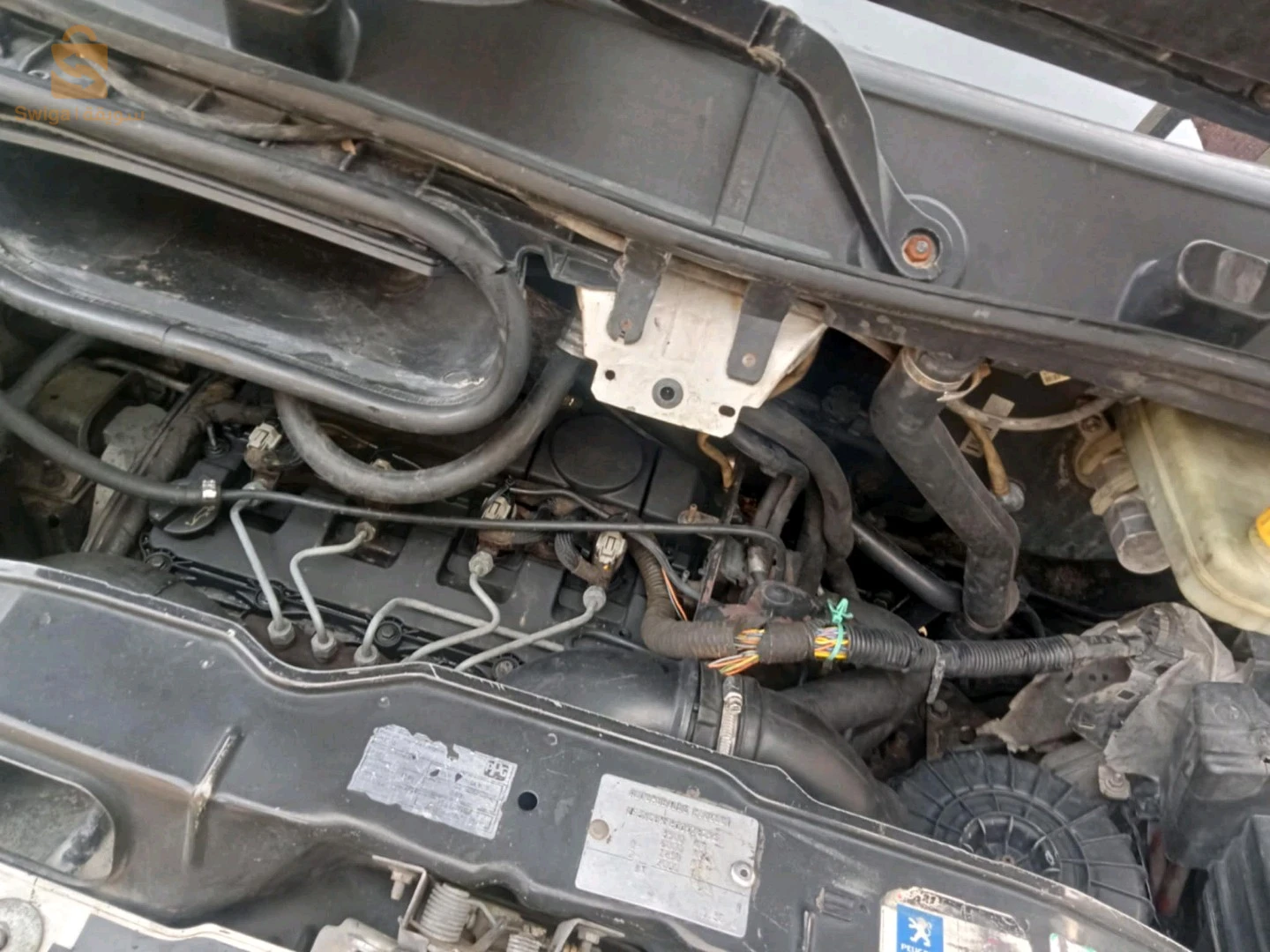 بيجو Boxer 2008 19 سطيف