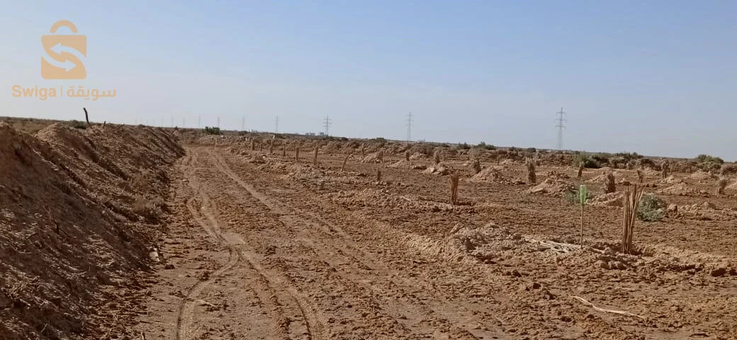 قطعة ارض فلاحية للبيع