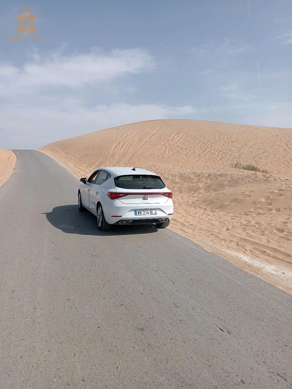 سيات Leon 2022 48 غليزان