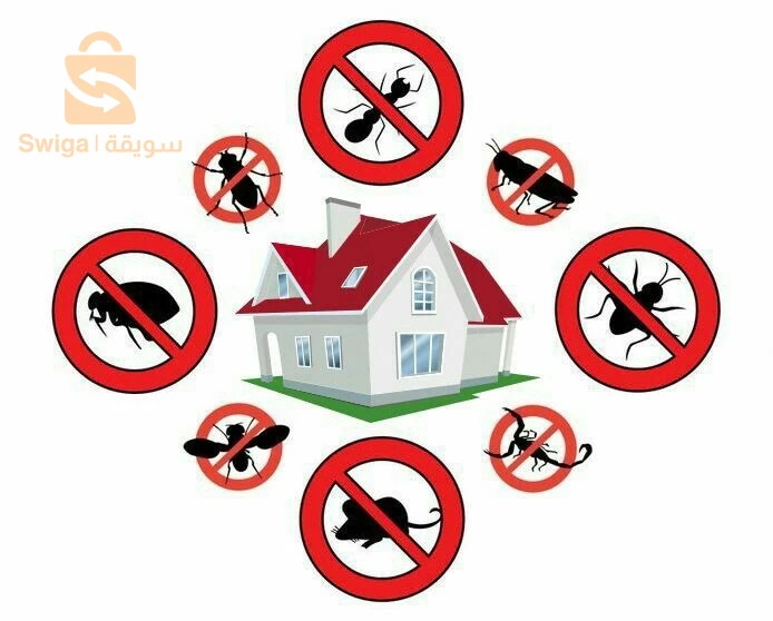 entreprise anti nuisibles oran