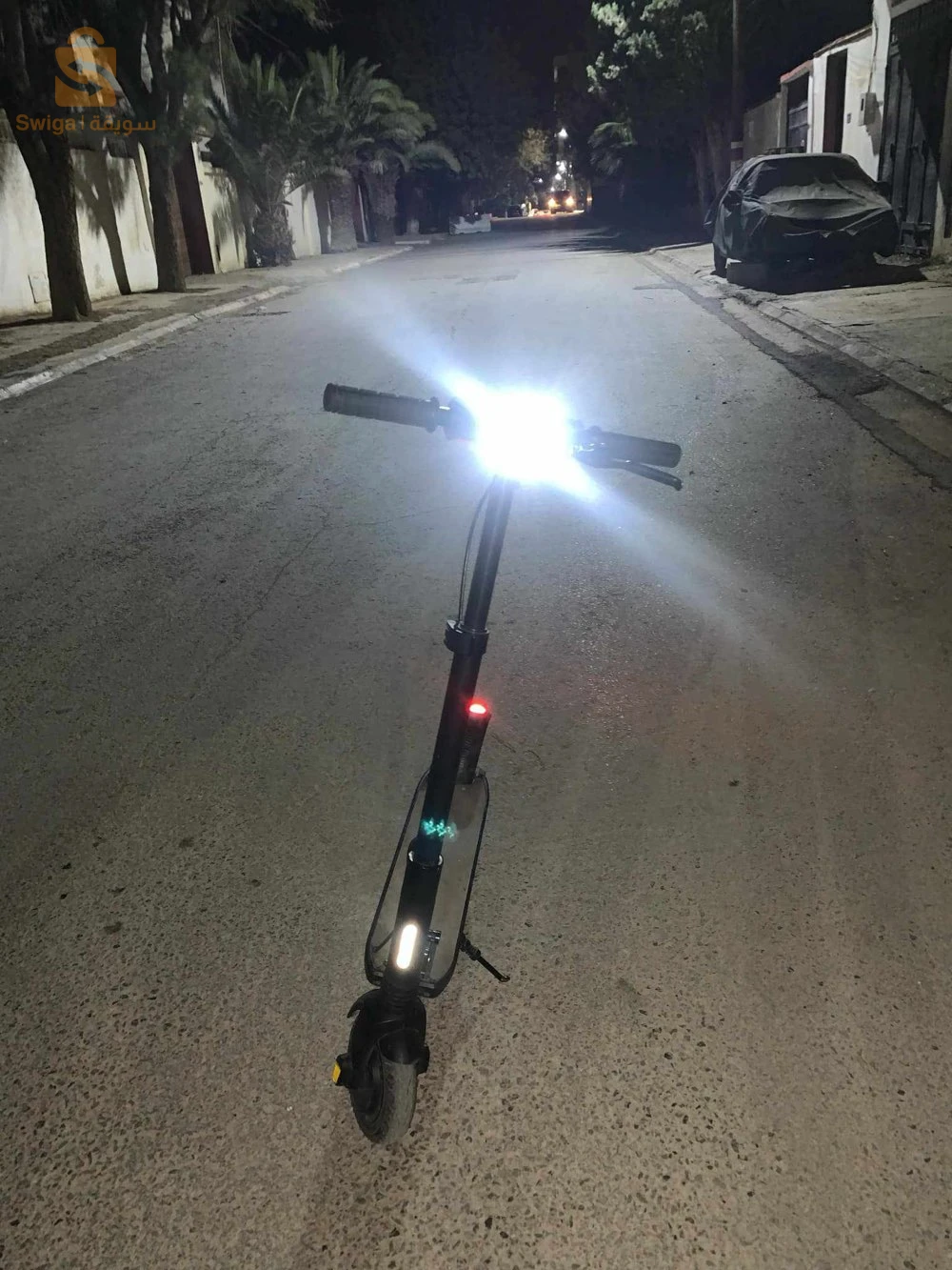 scoter