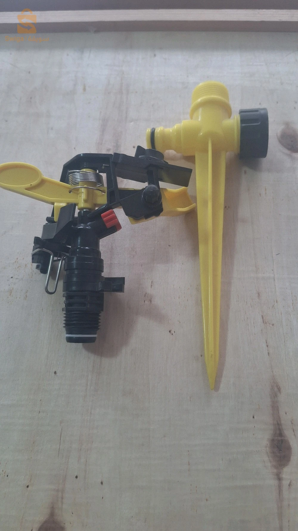 belhadriramadan1@gmail.com