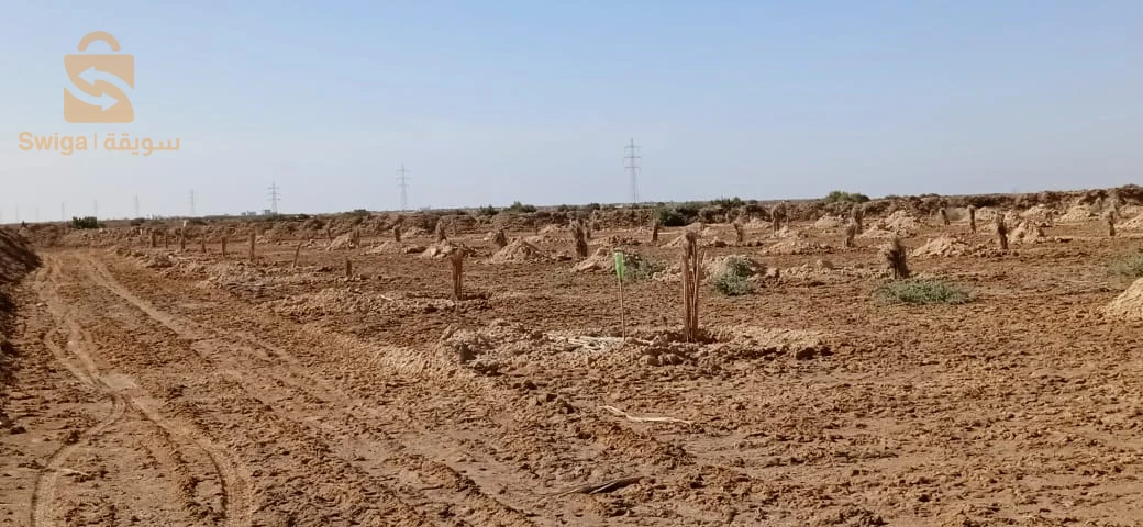 قطعة ارض فلاحية للبيع