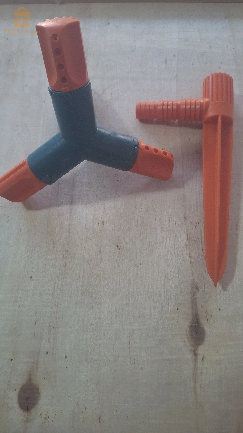 belhadriramadan1@gmail.com