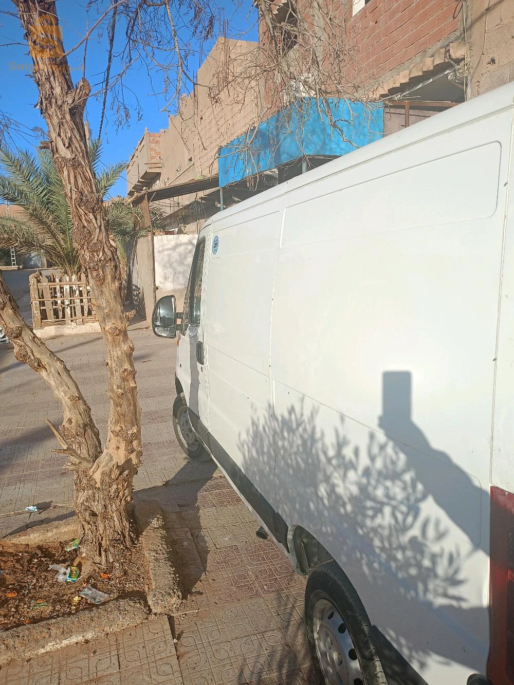 بشار