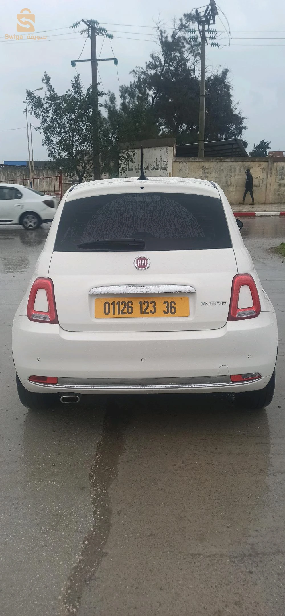 فيات 500 2023 36 الطارف
