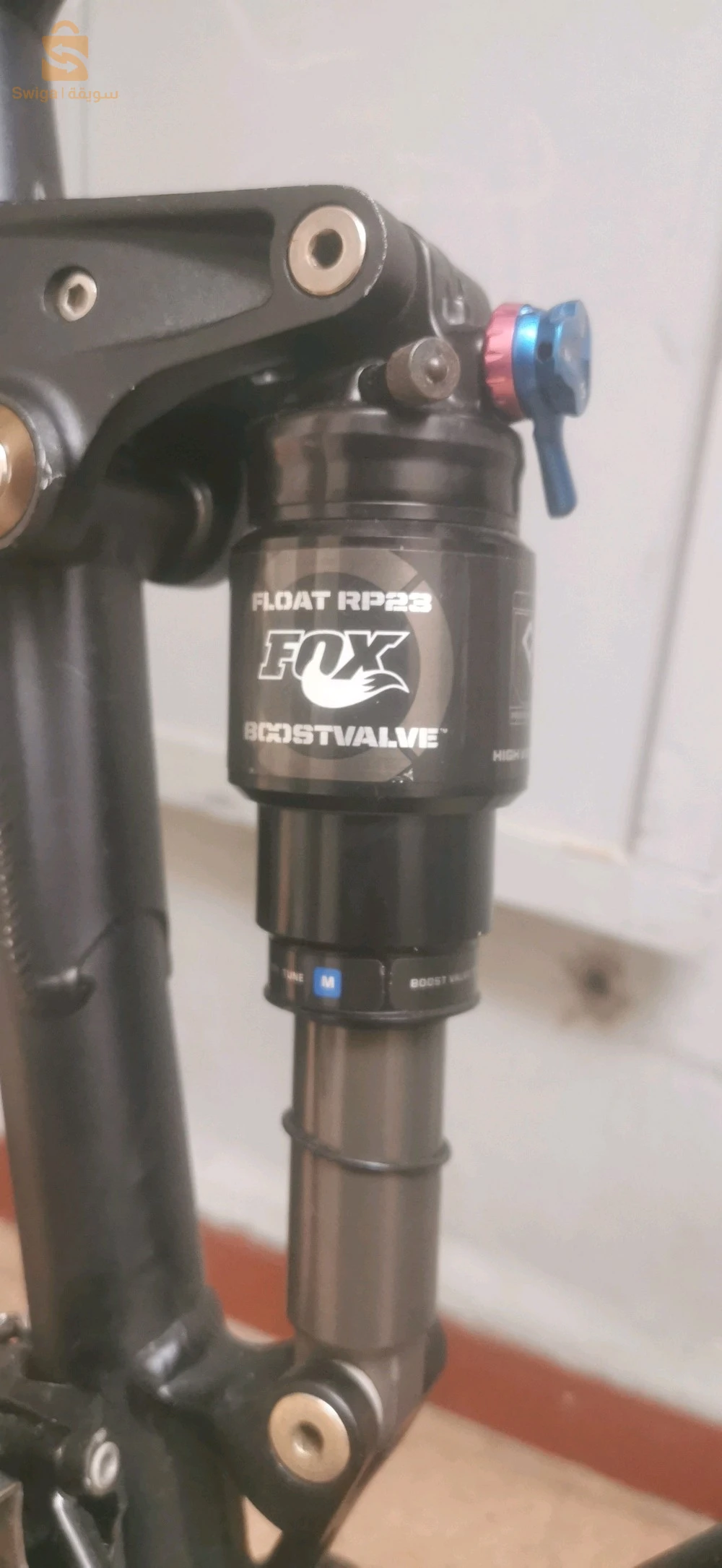 canyon nerve xc