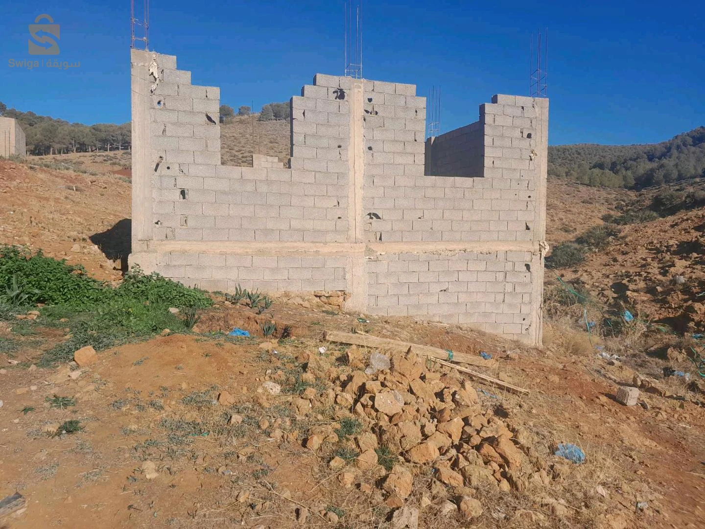 عوشبة ولاية تلمسان