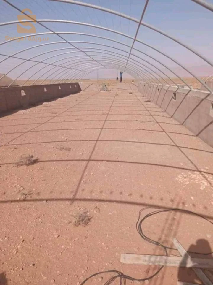 بيوت بلاستيكية لدجاج