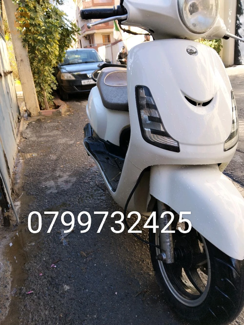 fiddle 2 année 2016