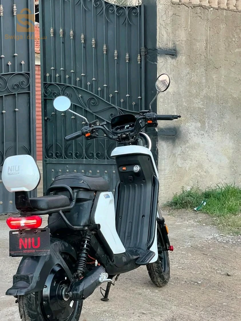 cheraga