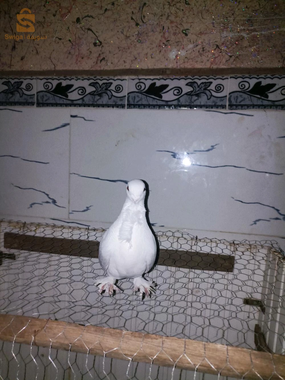 للبيع