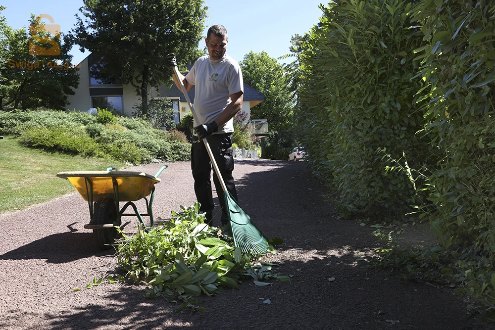 Entreprise de nettoyage et jardinage